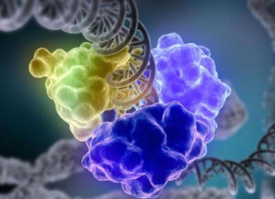 DNA repair enzymes encircle double helix.