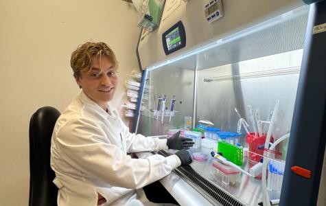 person at tissue culture biosafety cabinet